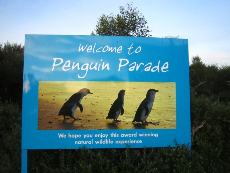 penguine parade